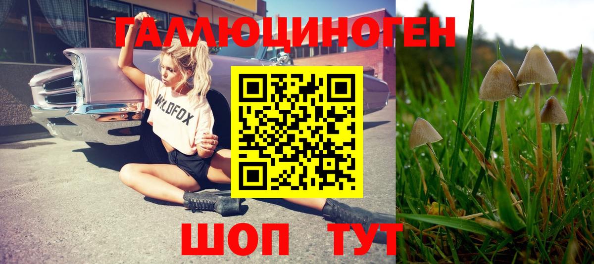 Галлюциногенные грибы прущие грибы  Вход с VPN  Петропавловск-Камчатский 