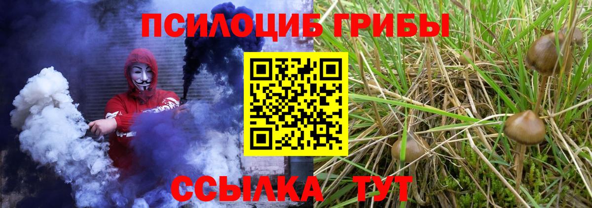 Галлюциногенные грибы GOLDEN TEACHER Петропавловск-Камчатский